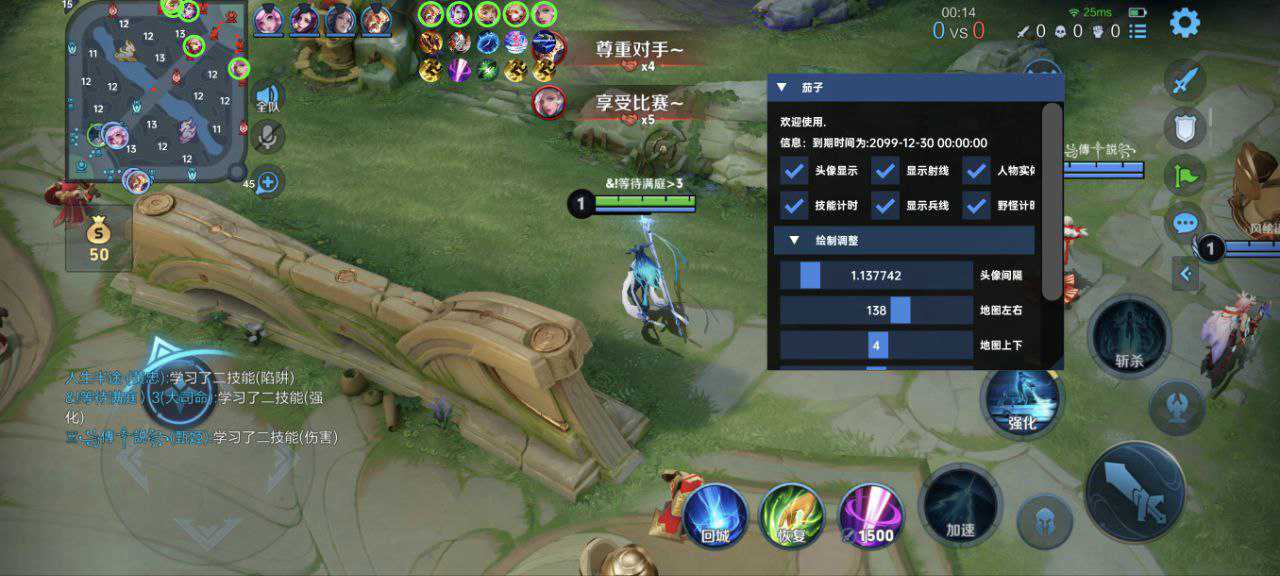 王者荣耀暗杀星辅助科技