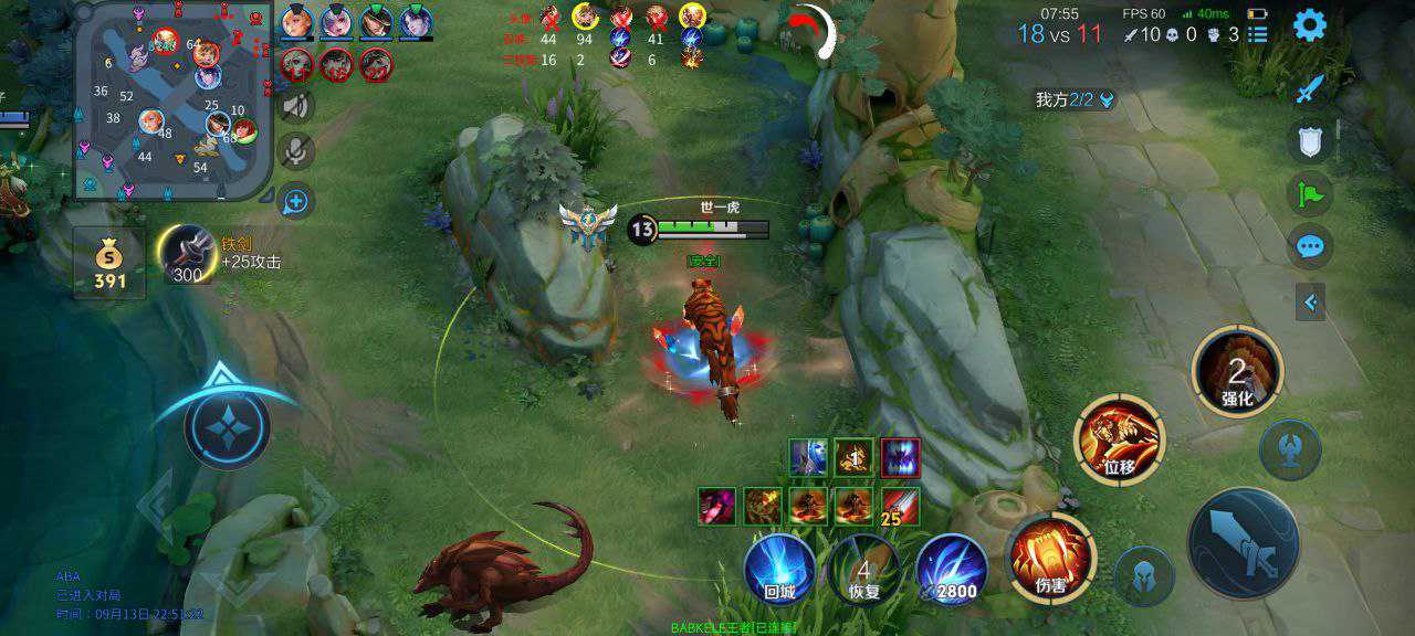 王者荣耀暗杀星辅助科技